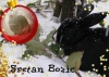 Bo�ićna-Crna i grančica